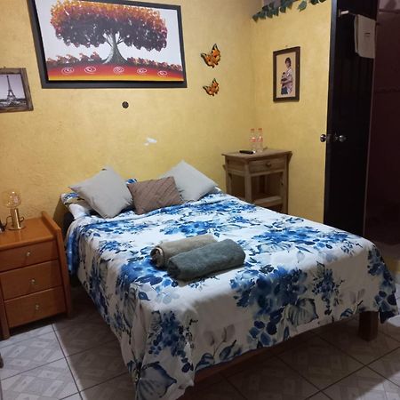 Casa Camilo - Cozy, Beautiful And Nice Separe Room San Miguel de Allende Exterior foto
