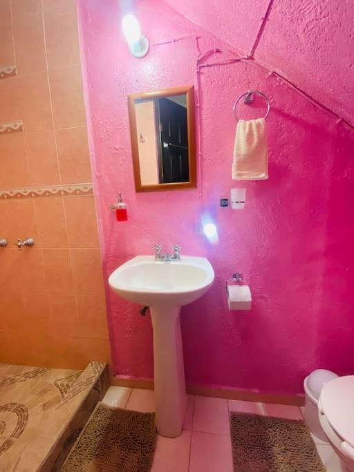 Casa Camilo - Cozy, Beautiful And Nice Separe Room San Miguel de Allende Exterior foto